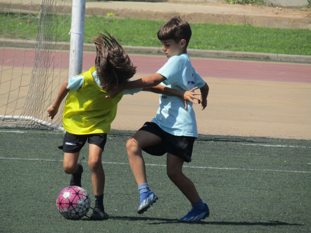 fiflleida-1