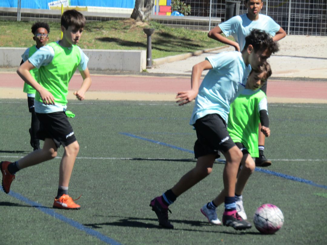 fiflleida-3